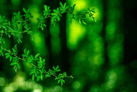 Green plant background. Leafy patterns with glowing effect. Foliage for eco design. Blur green...