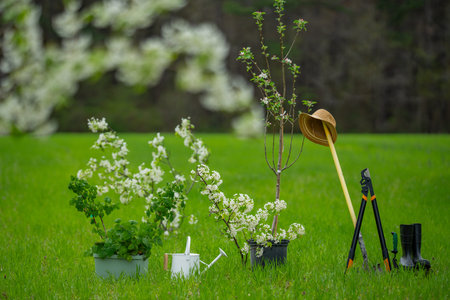 Spring gardening tools. Garden tools for spring. Tools for planting in spring. Gardening shovel and...