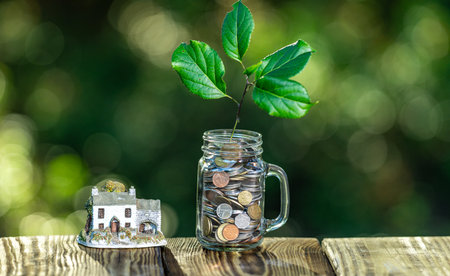 Coins with a plant. Saving and financial growth for a future. Plant tree growing out of a coins. Investment and saving concept. Money coins growing. Investment and financial growth.