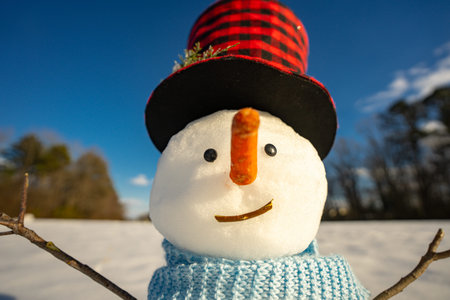 Snowman for winter card. Winter snow man holiday scene. Snowman in snowy field. Funny snowman with scarf and hat. Happy snowman outdoors.