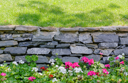 Flowers, green grass and retaining wall gray brickの写真素材
