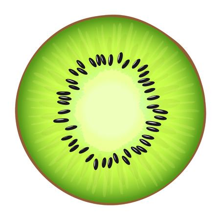 Vector illustrtion of the juicy half of the fresh Kiwiのイラスト素材