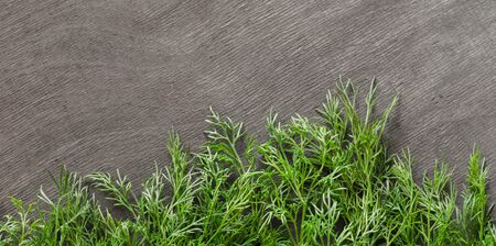 Dill located as the grass on a dark wooden background. Fresh ingredients in the kitchen. On dark background.の写真素材
