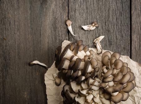Oyster mushroom on gray wooden table. Raw vegetables.の写真素材
