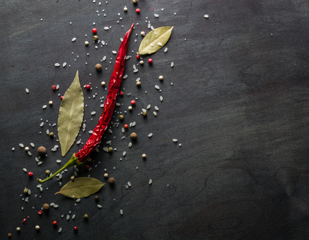 Red pepper pungent spices and bay leaf on the black tree. View from above. Space for text.の写真素材