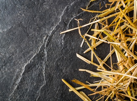 A bunch of yellow straw on the black background of an empty slab of slate. Place for text.の写真素材