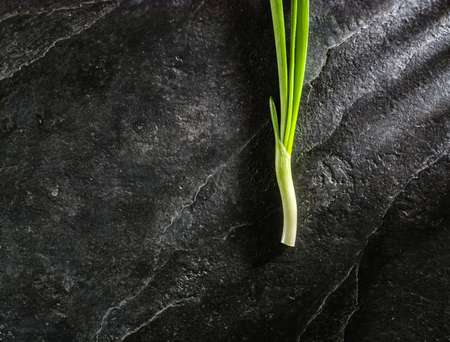 A bunch of green onion leaves on a background of black slate. Plenty of space for text.の写真素材