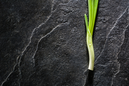 A bunch of green onion leaves on a background of black slate. Plenty of space for text.の写真素材