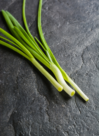 A bunch of green onion leaves on a background of black slate. Plenty of space for text.の写真素材