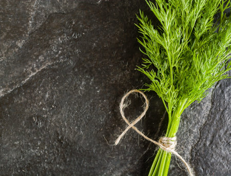 Fresh and green bunch of dill on black stone background. Plenty of space for text. View from above.の写真素材