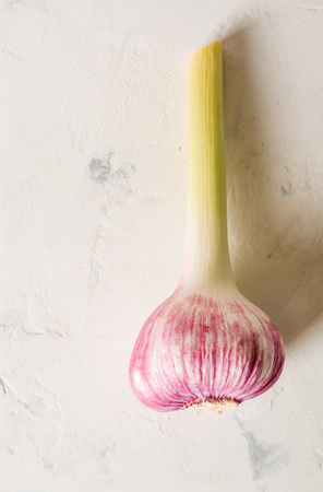 Garlic purple stalk on a white stone background. A lot of empty space.の写真素材