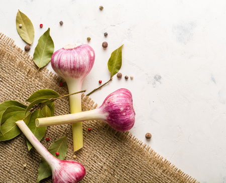 Garlic purple with a stem on the background of coarse burlap. A lot of empty space.の写真素材