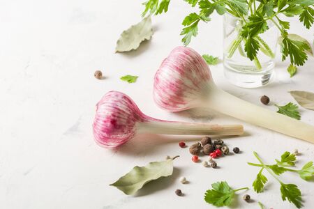 Garlic purple with Parsley on a white stone background. A lot of empty space.の写真素材