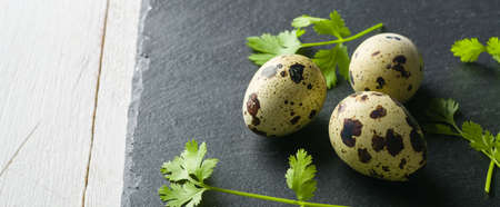 Quail eggs on the table. Spotted shell. Vitamin breakfast. View from above.の写真素材