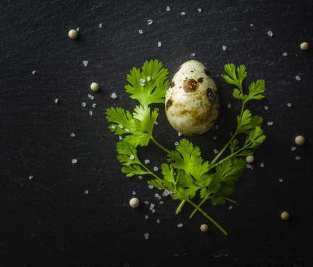 Quail eggs on the table. Spotted shell. Vitamin breakfast. View from above.の写真素材
