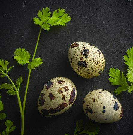 Quail eggs on the table. Spotted shell. Vitamin breakfast. View from above.の写真素材