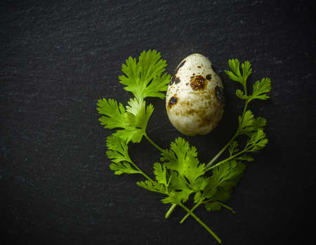 Quail eggs on the table. Spotted shell. Vitamin breakfast. View from above.の写真素材