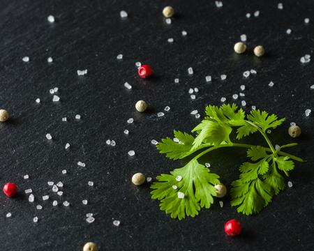 Green fresh Parsley on black slate with seasoning and salt. View from above.の写真素材