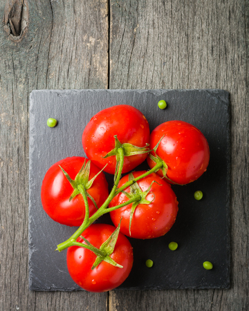 Branch with five ripe red tomatoes. Drops of water on ripe fruits. Green leaves and trunk. Copy space.の写真素材