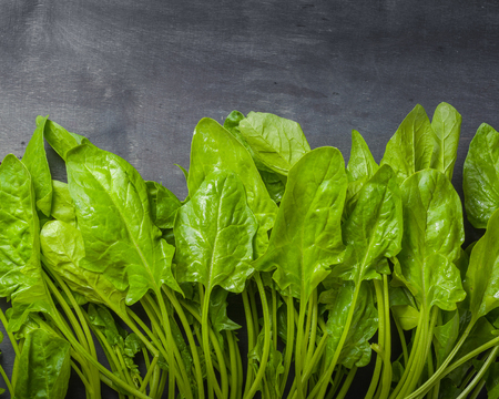 A large stack of fresh and green Leaves spinach on a black wooden background. Place for the text. View from above.の写真素材