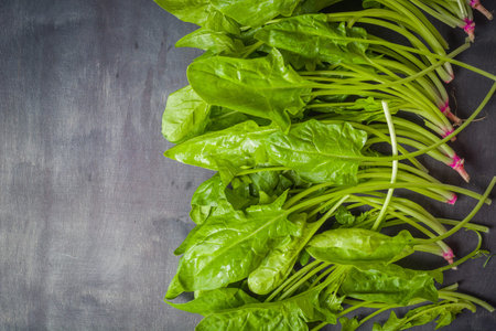 A large stack of fresh and green Leaves spinach on a black wooden background. Place for the text....