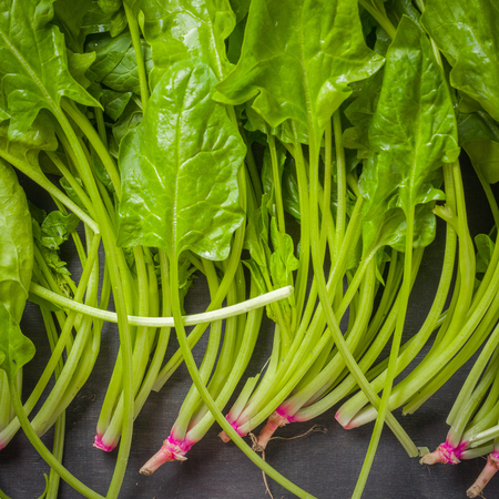 A large stack of fresh and green Leaves spinach on a black wooden background. Place for the text. View from above.の写真素材