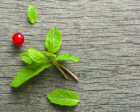 Fresh mint leaves and red currants on an old wooden background. Blurred gray background. Copy space.の写真素材
