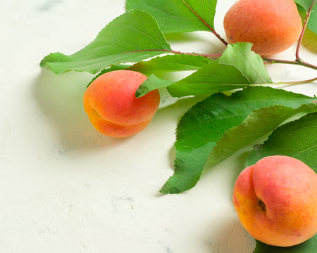 A fresh and ripe apricot and branch with green leaves on a white stone background.の写真素材