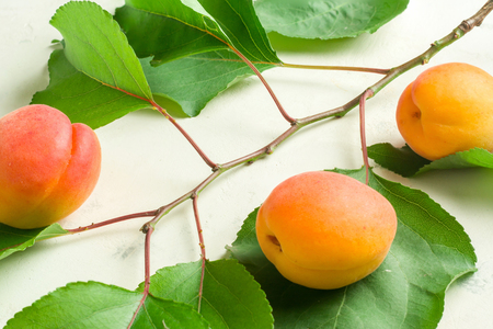 A fresh and ripe apricot and branch with green leaves on a white stone background.の写真素材