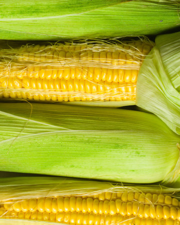 Corn corn in leaves against a white wooden table. Harvesting in the village. Stocks for the winter.