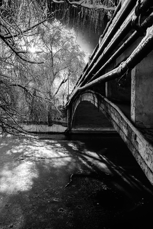 Snow-covered winter park with a lake and a bridge. A Sunday walk in the park.の写真素材