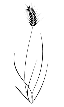 Black and white pattern of spike of cereals with stem and leaves. Harvesting and harvesting. Agriculture.のイラスト素材