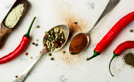 Composition from seasonings and chili pepper. Light stone background from slate. Copy space.