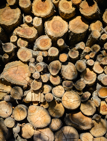 Pile of stacked wooden logs empty tops of wooden shelves, texture for backgroundの写真素材