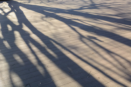 Decking flooring at the cafe. Diagonal pattern. Shadows from the trees.の写真素材