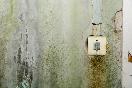 Eastern Europe, Ukraine, Pripyat, Chernobyl. Abandoned apartments Pripyat. April 27, 2019.の写真素材