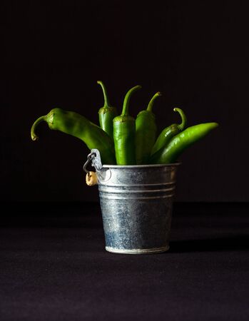 A variety of green hot peppers in a small can. Seasoning for a delicious dish.の写真素材