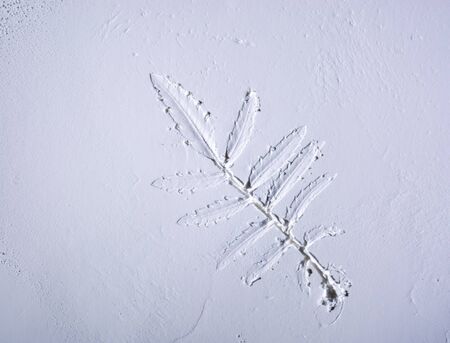 The relief of a living sheet imprinted in a white coating similar to gypsum. For decoration or an article on the history of botanyの写真素材