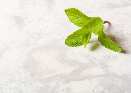 A lone twig with mint leaves lying on a white stone table. A lot of space for text or photo.の写真素材