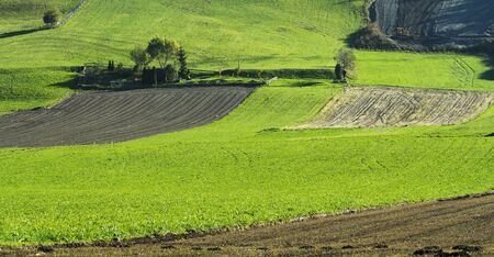 Fallow green field in Switzerlandの写真素材