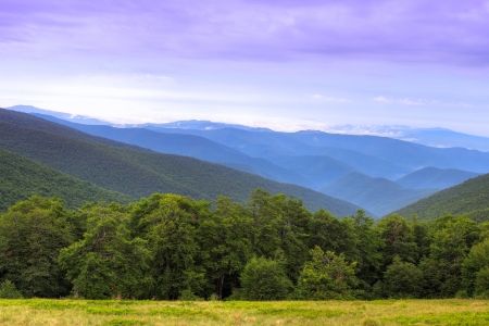 Colorful landscape over ridges of Carpathian Mountains in Ukraine の写真素材