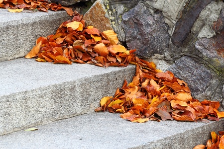 Yellow Autumn leaves neatly swept to the corners of the staircaseの写真素材