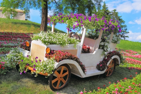 KIEV - MAY 26  Flower cars exhibition at Singing meadow on May 26, 2013 in Kiev, Ukraine のeditorial素材