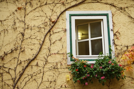 Overgrown traditional Austrian window frame decorated with flowersの写真素材