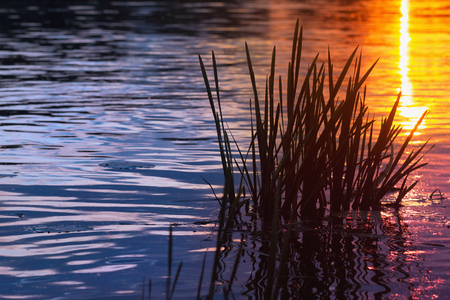 Beautiful view on evening river waterの写真素材