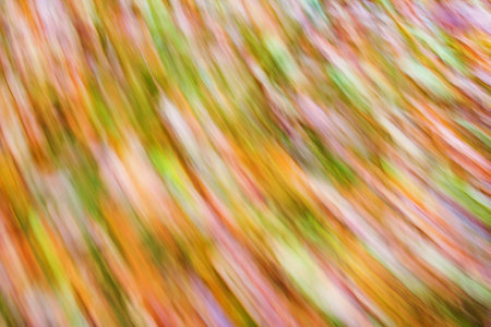 Colorful spinning abstract background, which reminds of childhoodの写真素材