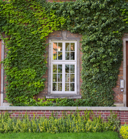 Overgrown green building at the Wawel castle in Krakow, Polandのeditorial素材