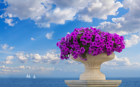 Vase of pink petunia flowers over the beautiful seascape of Odessa, Ukraineの写真素材