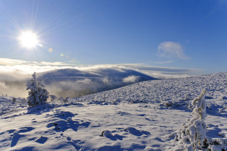 Lapland landscape from top of a hill