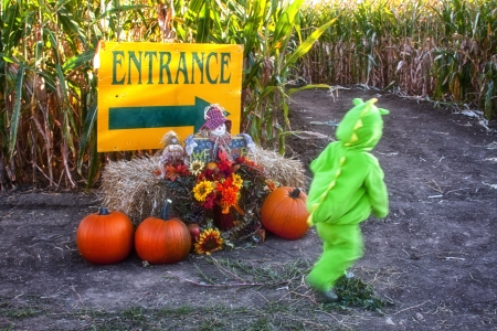 Toddler in Halloween Costume at Entrance to Corn Mazeの写真素材